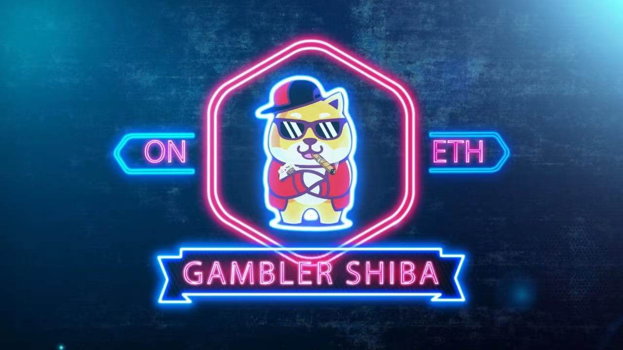 Hello直播间：Gambler Shiba 加密货币投注领域新革命-启示财经